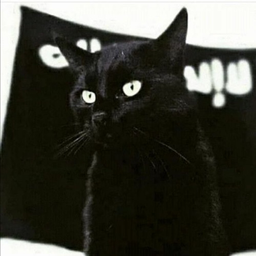 Stream Ma vengeance French Nasheed by جبريل بن عبد الله Listen