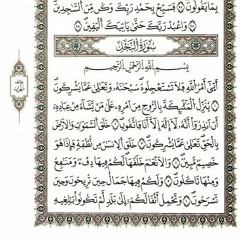 سورة النحل - الحذيفي