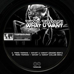 Timo Tapani - What U Want