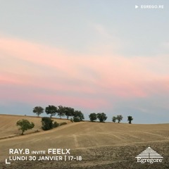 Ray.B invite FEELX (Janvier 2023)