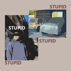 STUPID