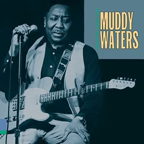 Muddy Waters - You Can't Lose What You Ain't Never Had & E. Leggo - Battle Rattle (Blues Hop Mashup)