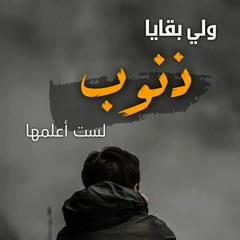 ولي بقايا ذنوب/أناشيد إسلامية منصور السالمي