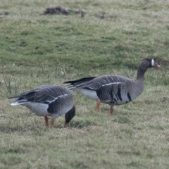 2025 12 27 BBC Radio London_0061