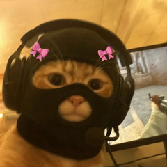 Dont STOP