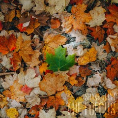 You're Special [Day 39/100]