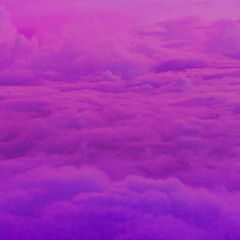 PINK + PURPLE (prod. vrgo)