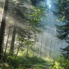 T2 - Lelaki Cadangan (Cover)