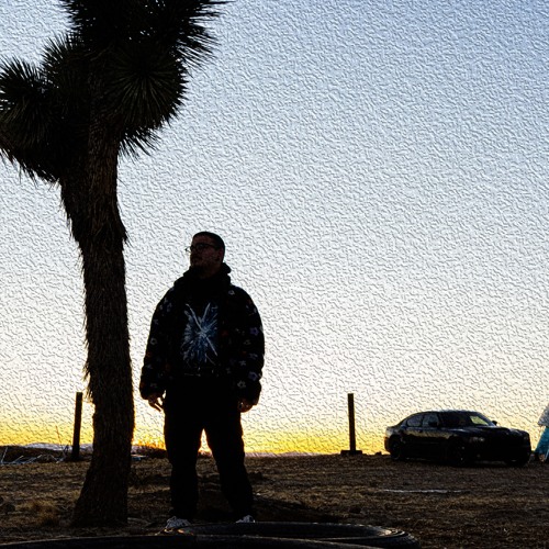 desert frequency (Los Perros Stage / Social Desert Camp Festival Set)