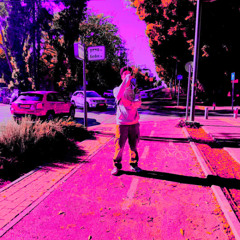 אלוף פימבה - champion