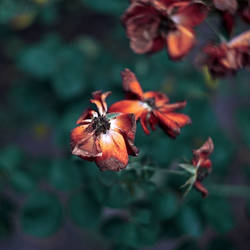 Beat 154 (OPEN VERSE) (1)