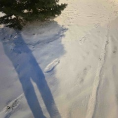 Wasted ft SwayTooReal