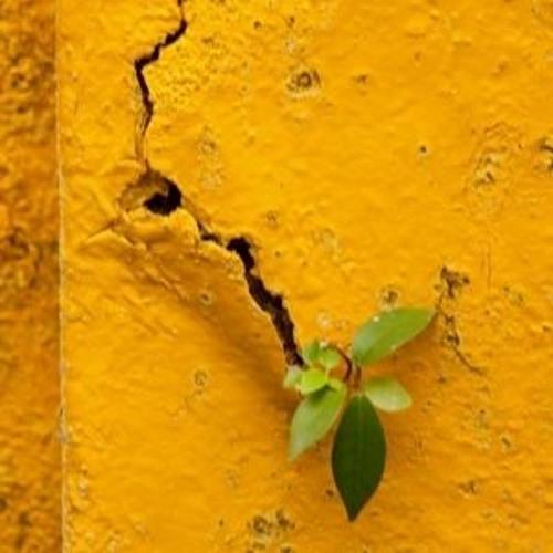 Unlocked Dreams - Session V // Amsterdam // May 2021