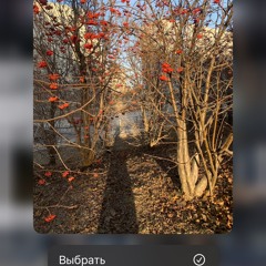 вряд ли забуду