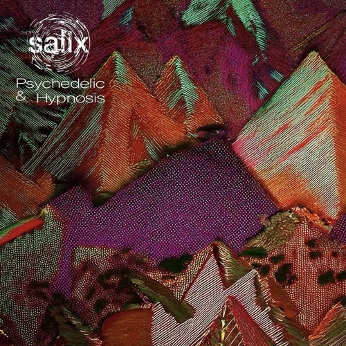 Opening set at Salix @vurt. [2025/06/21]