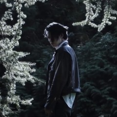 9mice - distance (snippet 21.09.25)