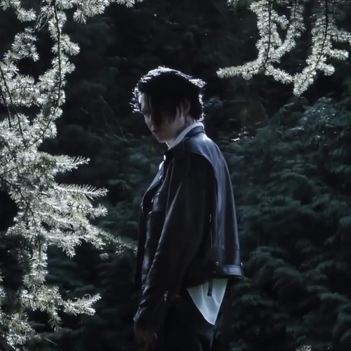 9mice - distance (snippet 21.09.25)