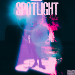 26 - SPOTLIGHT
