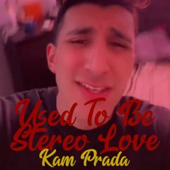 Used To Be Stereo Love - KAM PRADA