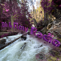 Ebb & Flow Guest Mixes