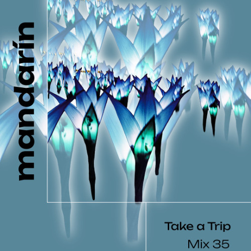 Take A Trip with mandarín