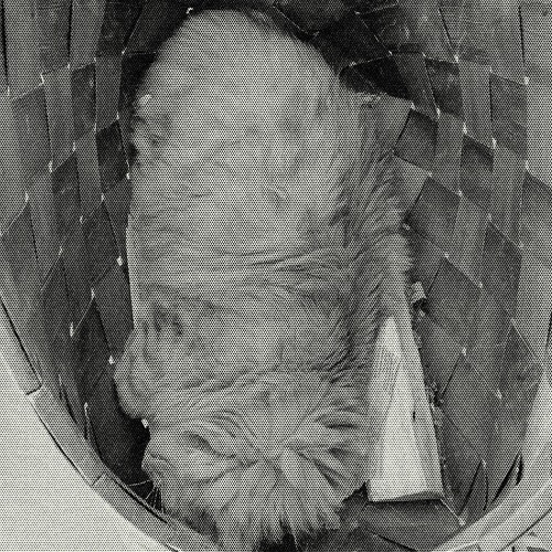 Cat Won't Go