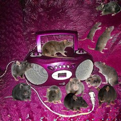 Everyone Knows That The Rats Have Ulterior Motives
