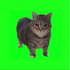 Vin Voxa - OIIAOIIA ( Original Mix )