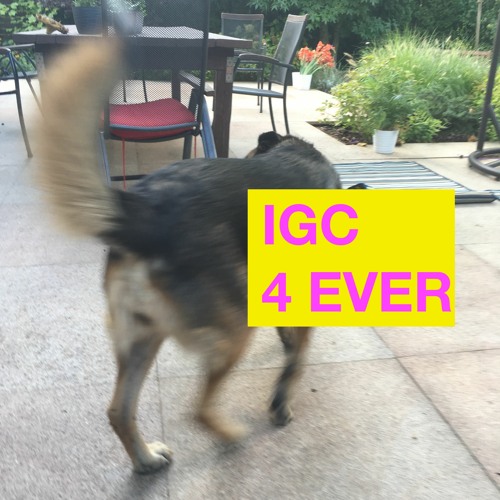 IGC -Rejs (Prod.IGC) ;)