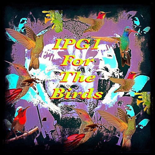 For The Birds