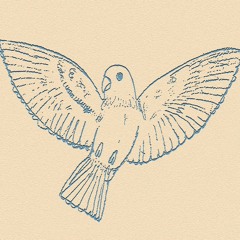 Palmera - Birds