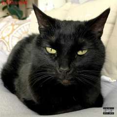 Black Cat (Prod. JUSTLETMEDIE)