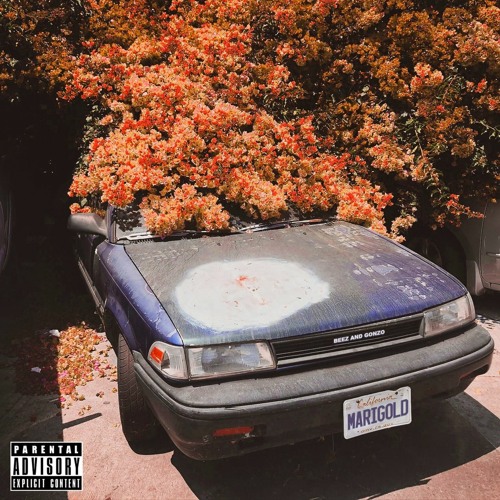 Beez & Gonzo - Marigold