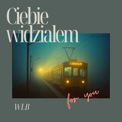 Ciebie widziałem