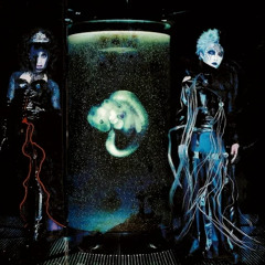 Creeper - Schwarz Stein