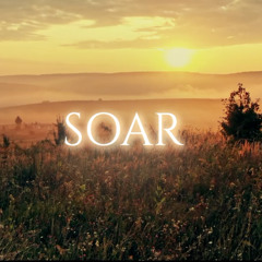 Soar