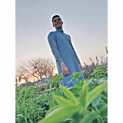 مجرودة#_خاينين_كلكو_خاينين_بصوت_محمد_البصلي،305💪✌