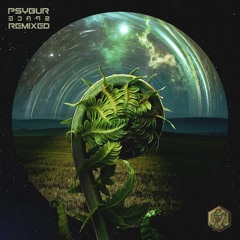 Psybur - Pocket Universe (Lesmus Remix)