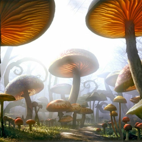 Ver 27 - ✈ 1Con 2Nắp 3Đường K.E ✈ Tới Zậy Ba - Tiến Chivas X Thực Korea