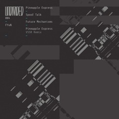 [PREMIERE] | FYuN - Pineapple Express (VSSR Remix) [UND004]