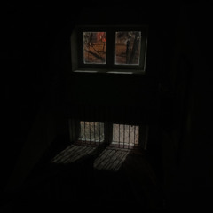 - diaryy scribbles - 101125