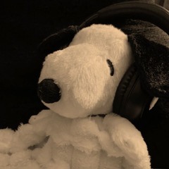 slip n fall (glaccr)