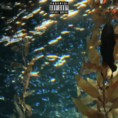 mucus ft. guap guru (boolymon)