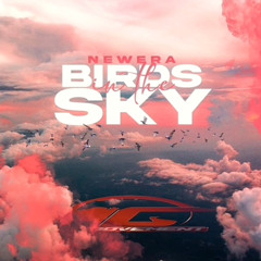 birds in the sky-benwilliams