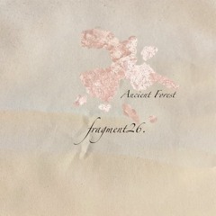 fragment26: Ancient Forest