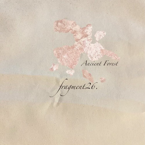 fragment26: Ancient Forest