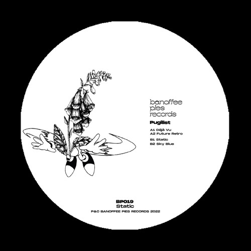 Pugilist - Illumination (STW Premiere)