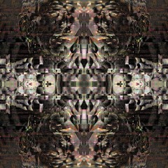 Live S L A M 241016