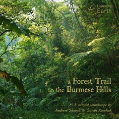 A Forest Trail to the Burmese Hills: Album Sample