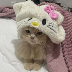 bedtime